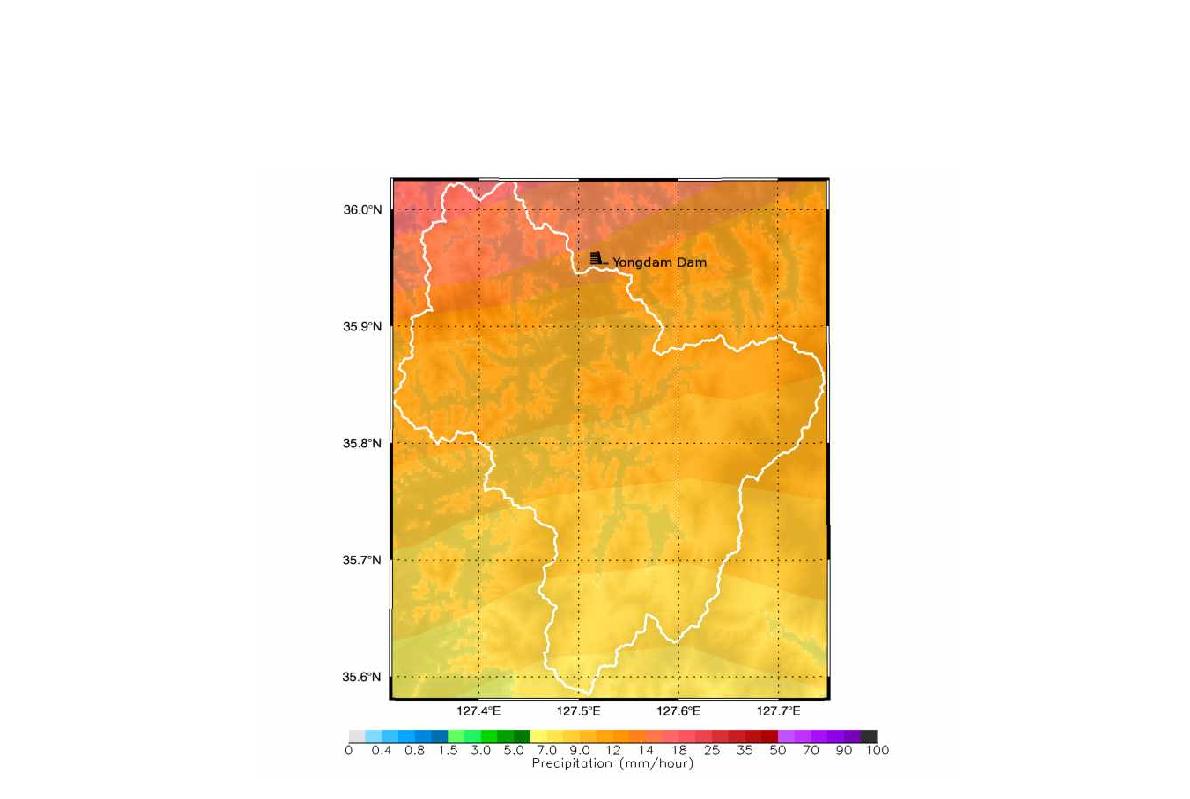 2014년 7월 1일 09시(+24h) RDAPS 예측 강수량 분포도(용담댐)