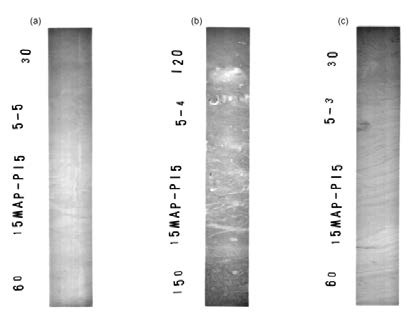 그림 4.17. X-ray radiographs from the major sedimentary facies with: (a) homogenous mud; (b) bioturbated mud, and (c) laminated mud.