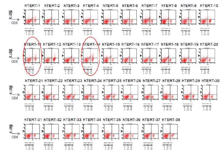 hTERT epitope screening (NGS, 2013-08-13)