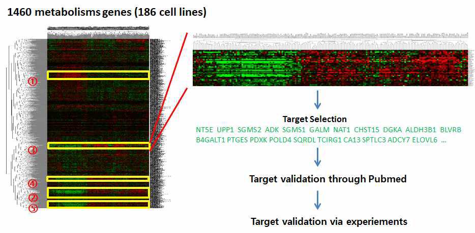 폐암종의 유전자 발현 양에 따른 대사 관련 유전자들의 분류와 검증 과정