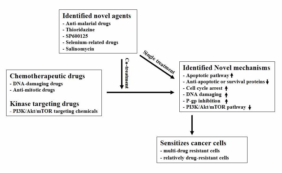 Summary of experimental data on sensitizing resistant cancer cells via drug repositioning.