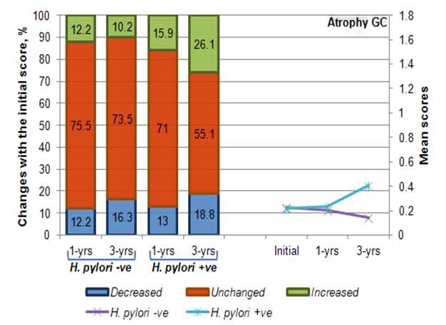 The comparison of the percentage changes referent to the initial histology score at each time point between persistent H.pylori-negative(H. pylori negative at both 1 and 3 years) and H.pylori-positivepatients(H. pylori positive at both 1 and 3 years)