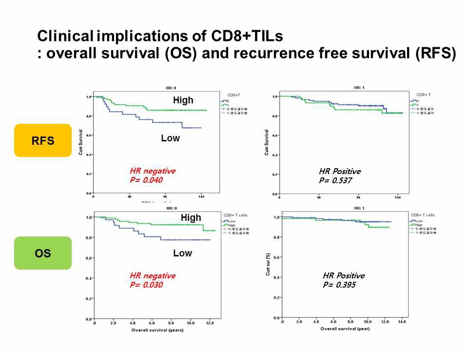 Clinical implications of CD8+ TILs in terms of overall survival and recurrence free survi val in all participants