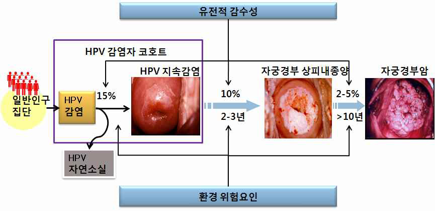 본 연구과제의 가설