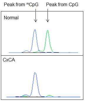 Methylation peak