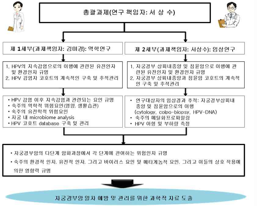 연구개발 추진체계