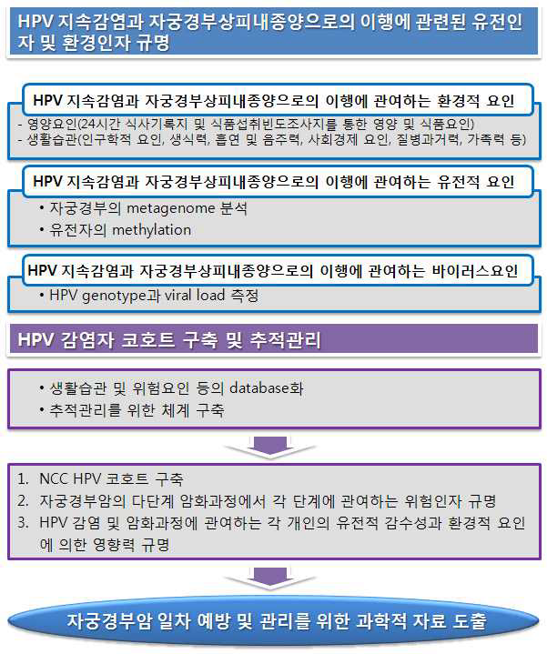 연구 추진 전략