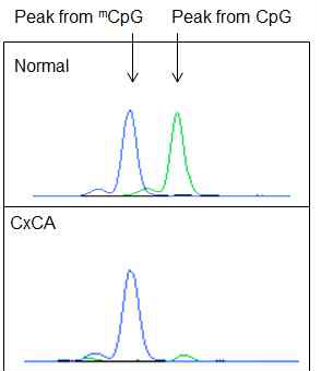 Methylation peak