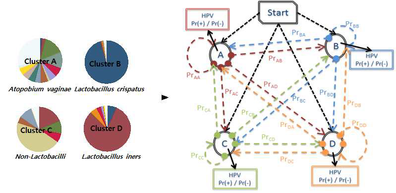 시간대별 HPV 감염 변화와 미생물 군집변화에 대한 Hidden Markov Model