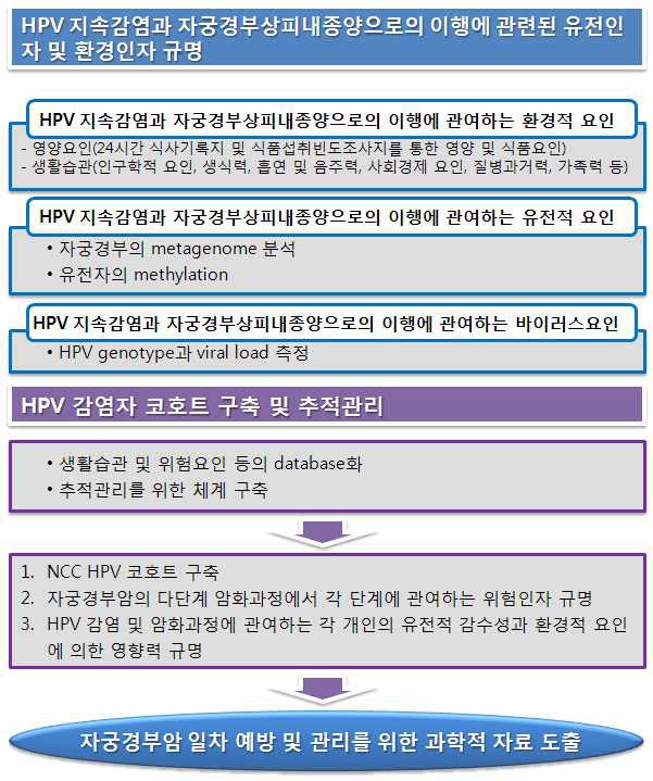 연구의 추진 전략