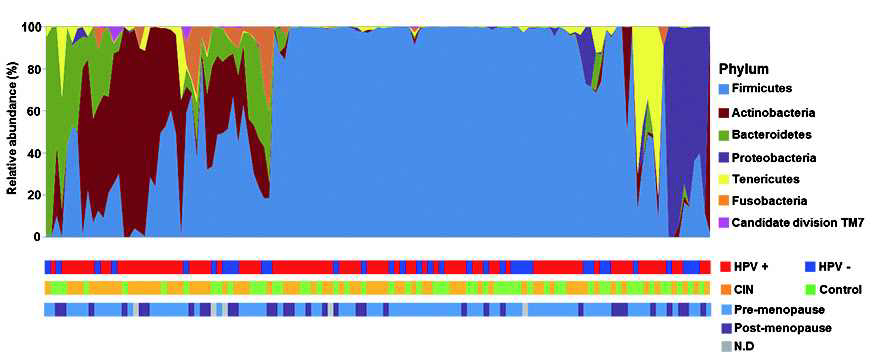 Comparison of the cervical microbiota of subjects at the phylum level.