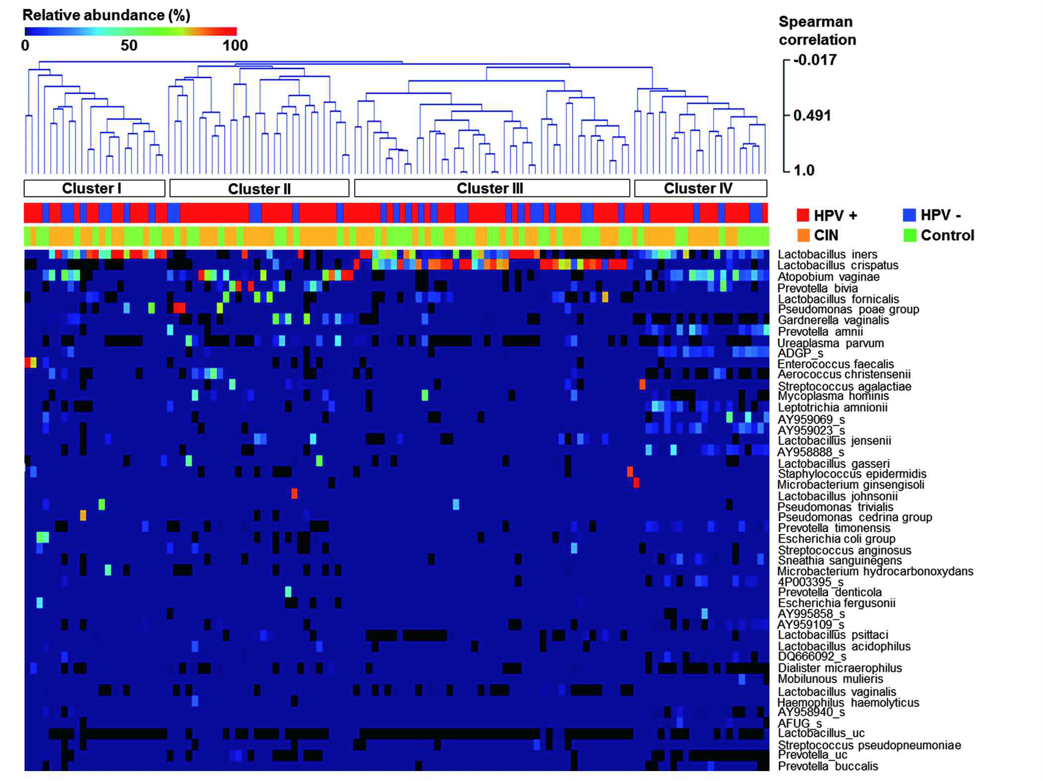 Comparison of the cervical microbiota of subjects at the species level using heatmap analysis.