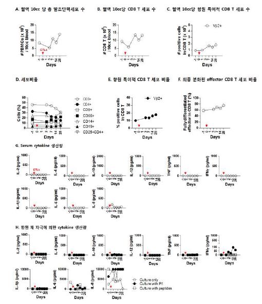 Immunological monitoring of patients received TERTiNT (C714-03)