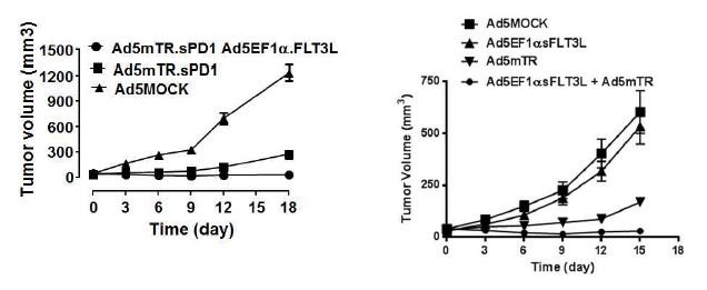 Ad5EF1α.FLT3L에 의한 Ad5mTR.sPD1 항종양 효과 향상