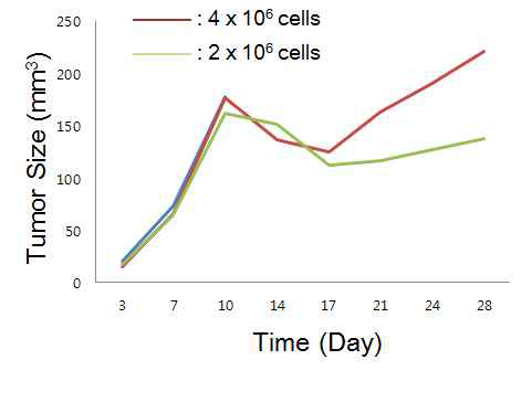 마우스에 MEER/PDL1 세포주를 만들고 종양 성장을 측정