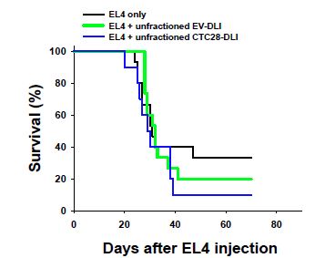 혈액종양치료모델에서 CTLA4-CD28-modified DLI의 효과