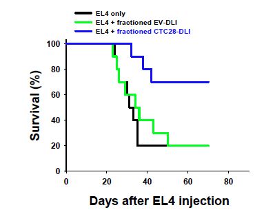 혈액종양치료모델에서 분획한 T세포를 이용한 CTLA4-CD28-modified DLI의 효과