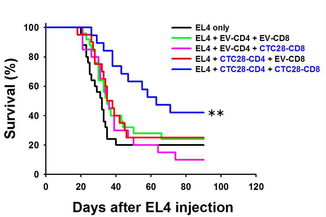 CD4 T세포와 CD8 T세포 모두를 CTLA4-CD28-modification 한 경우에만 혈액암치료모델에서 치료효과가 관찰됨.