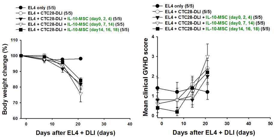 IL-10 생성 MSC 투여 시 체중 감소 및 clinical GVHD score