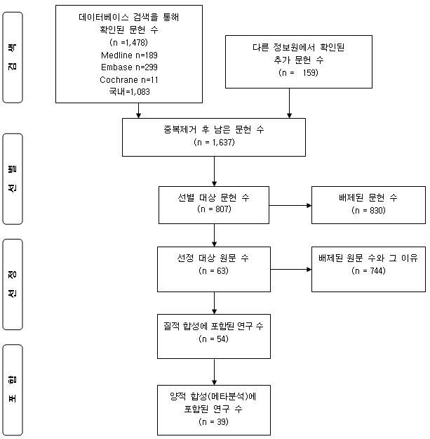 간암 검진 권고안의 근거문헌 검색 흐름도