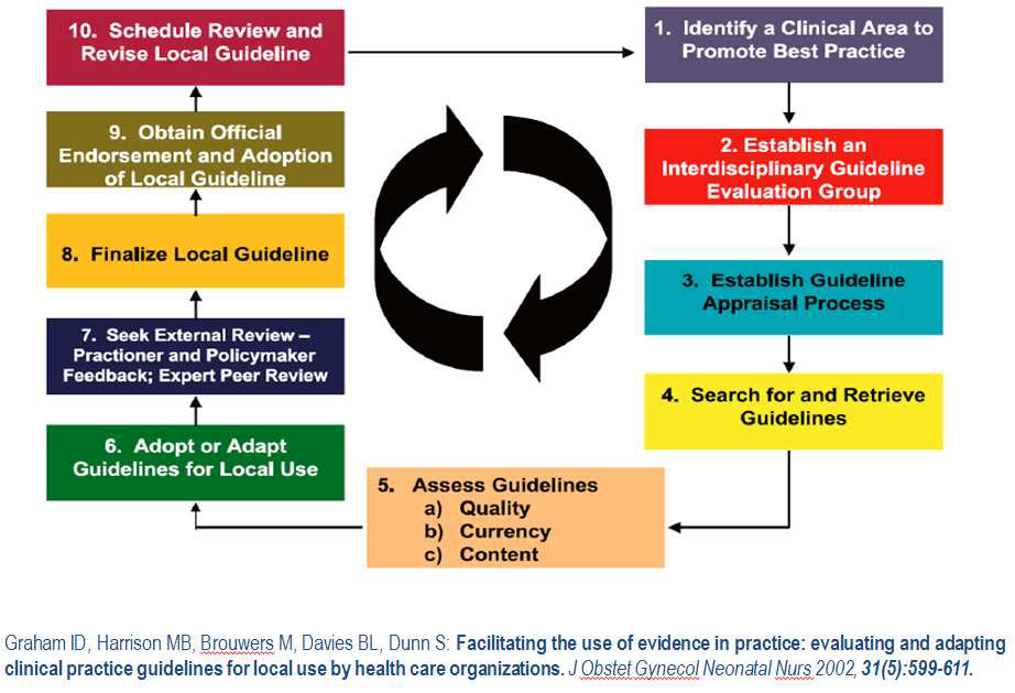 Practice guidelines evaluation and adaptation cycle