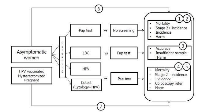 자궁경부암 검진 권고안 분석틀