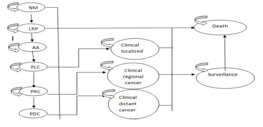 Markov's modeling for screening strategies for colorectal cancer. Barouni M et al., Asian Pacific J Cancer Prev.