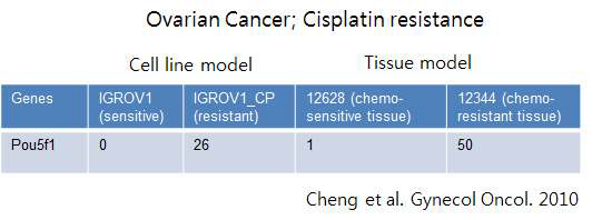 Cisplatin 내성이 높은 세포주 혹은 환자조직에서 Oct4 발현이 높음