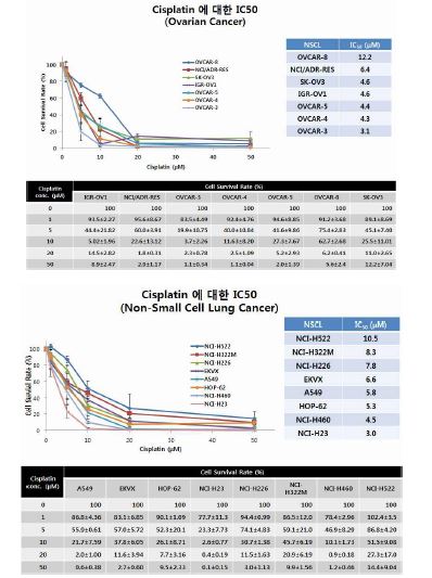 NCI-60난소암 및 폐암세포주에서 cisplatin을 농도별로 72시간 처리하여 암 세포 생존 정도를 변형 MTT 방법으로 측정하였다. 총 세 번의 별개의 실험을 반복하고, 그 결과 IC50값을 구하였다.