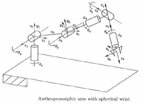 Anthropomorphic robot