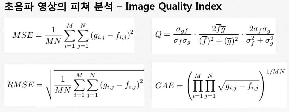 초음파 영상분석에서 피쳐 추출을 위한 식