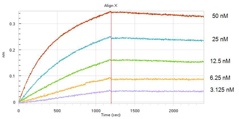 Octet red를 이용한 HER2에 대한 sc4D5-VEGF Trap의 affinity 측정