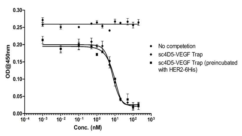 Competitive inhibition of binding of Trastuzumab to VEGF by sc4D5-VEGF Trap or sc4D5-VEGF Trap preincubated with HER2