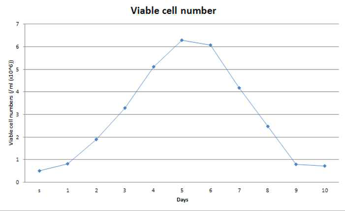 VEGF Trap 생산 세포주 clone #38-G418의 생존율