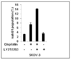 BLT2 억제 후 항암제(cisplatin) 처리에 의한 세포 사멸 증가 확인(Sub-G1)