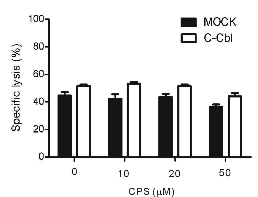 c-Cbl 제거에 의해 NK cell 활성 증진 뿐 아니라 NK cell 활성억제 물질에 대해 NK cell이 저항성을 나타냄