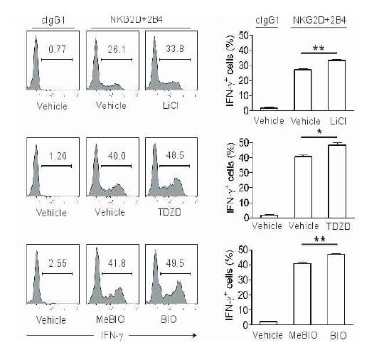 Human PBMC에 GSK-3 특이적인 chemical inhibitors(LiCl, TDZD-8, BIO)를 처리한 조건에서 NKG2D, 2B4 activating receptor 각각 및 조합에 대한 항체를 결합시킨 P815 target cell과6시간 동안 co-culture를 함