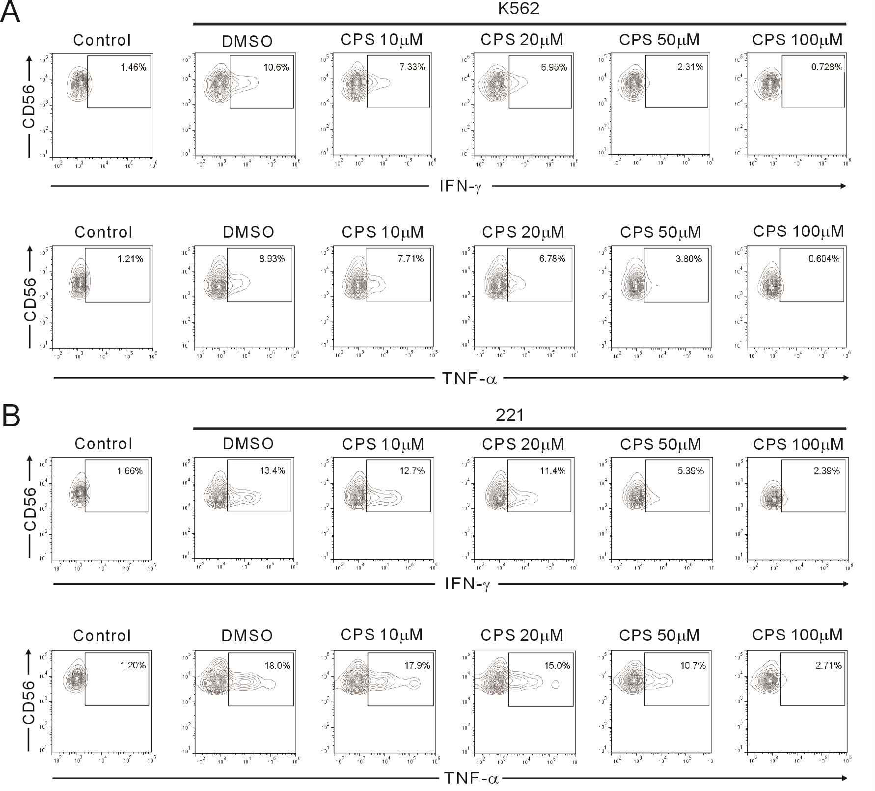Capsaicin이 NK cell 활성에 중요하게 작용하는 염증인자인 IFN-γ, TNF-α 생성을 억제함. PBMC에 capsaicin을 (10, 20, 50, 100㎛) dose별로 1시간 전처리 후, 다양한 표적세포 (K562,221)와 총 6시간 동안 반응시킴
