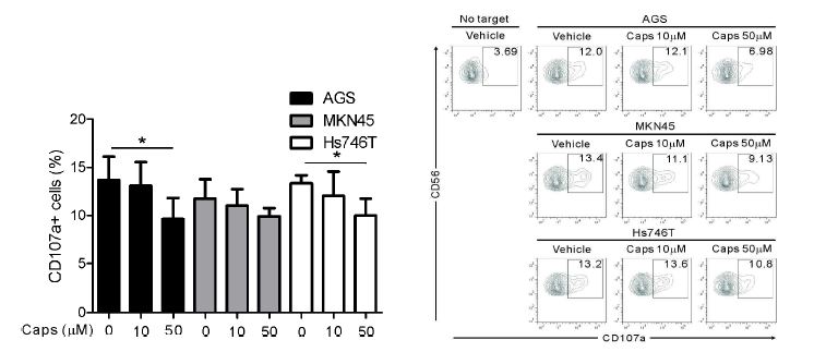 Human PBMC에 capsaicin을 농도별로(0, 10, 50 μM) 1시간 동안 처리한 후 gastric cancer cell lines(AGS, MKN45, Hs746T)와 4시간 동안 co-culture를 한 후, CD107a의 발현을FACS로분석함.