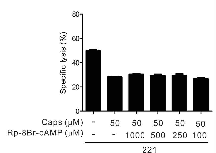 Capsaicin에 의해 감소되는 NK cell의 자연살해능력은 cAMP 신호전달에 독립적임.