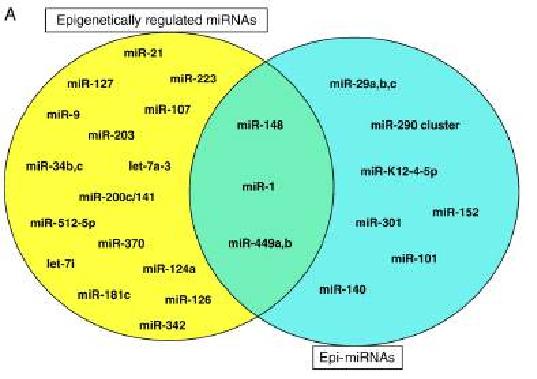 후생유전학적으로 발현이 조절되는 miRNA와 후 생유전학적 조절에 관여하는 분자를 조절하는 miRNA 의 van diagram