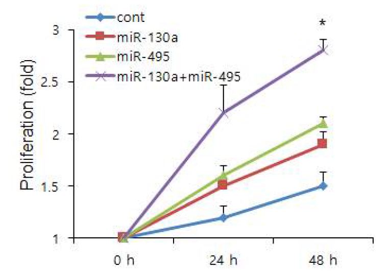 miR-130a 와 miR-495 에 의한 SNU484 세포의 증식률