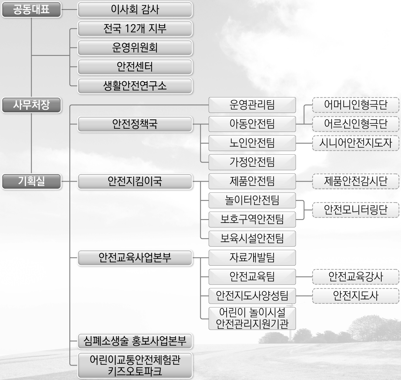 한국생활안전연합 조직도