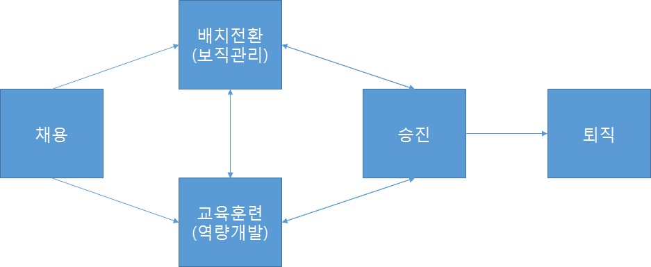 조직의 생애주기별 인사관리