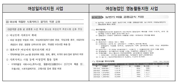 중장기 계획에 나타난 성평등 목표