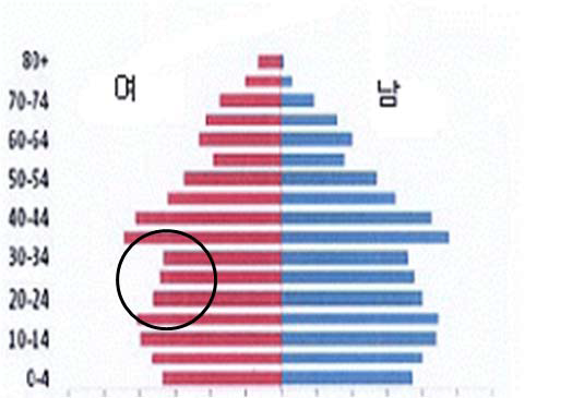 2008년 북한 인구피라미드