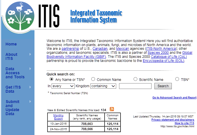 ITIS DB 검색 초기화면