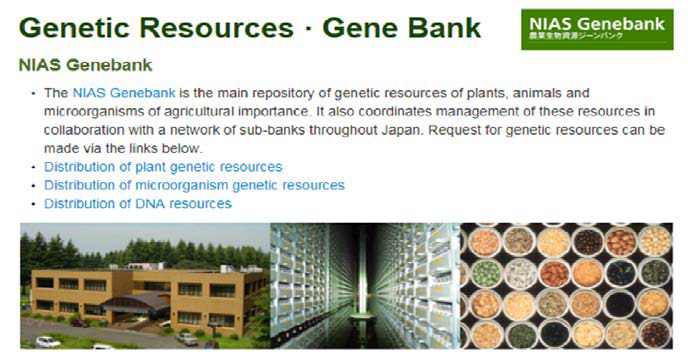 일본 농업생물자원연구소의 유전자은행