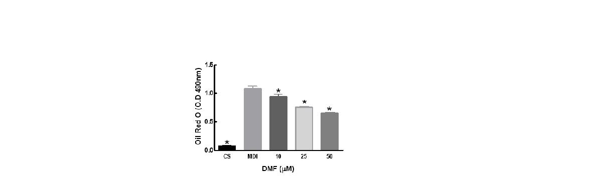 Stained intracellular droplets were eluted and quantified.