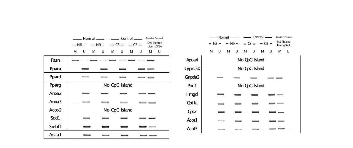 MS-PCR.